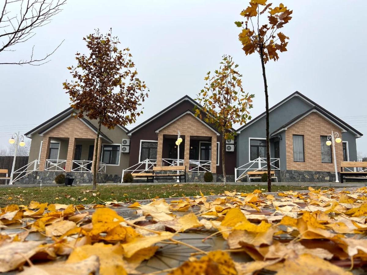 Şǝki Tulpan Hotel מראה חיצוני תמונה